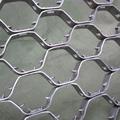 (龜甲網,鋼格板)